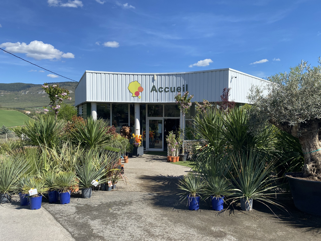 Paysage Marc : Devanture du magasin avec exposition de végétaux, arbustes d’ornement.