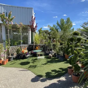 Paysage Marc : Showroom végétal, arbres d’ornement, topiaires, arbustes et idées d’aménagement paysager pour tous vos projets de jardin.