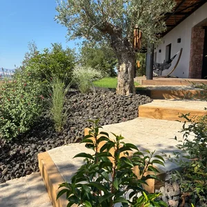 Paysage Marc : Création d'un jardin méditerranéen chez un particulier, mêlant olivier, végétaux adaptés et rocailles.