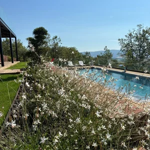 Paysage Marc : Aménagement paysager autour d'une piscine chez un particulier.