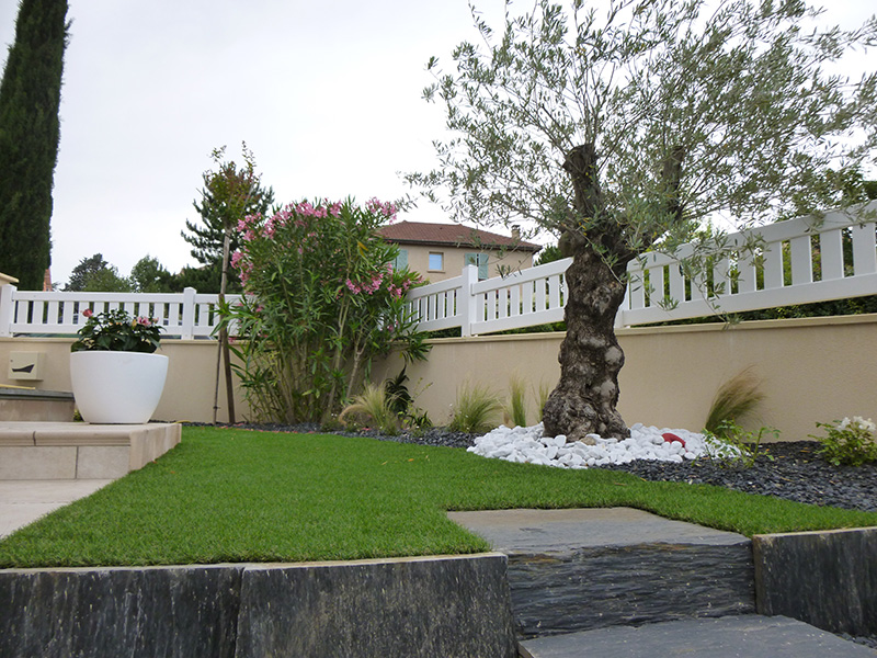 jardin moderne et arbre