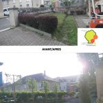 transformation de jardin paysagisme